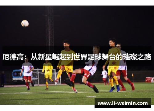 厄德高：从新星崛起到世界足球舞台的璀璨之路